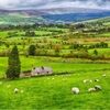 irishcyn63